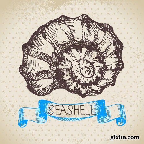 Collection of different vector picture painted seashell sink 25 Eps