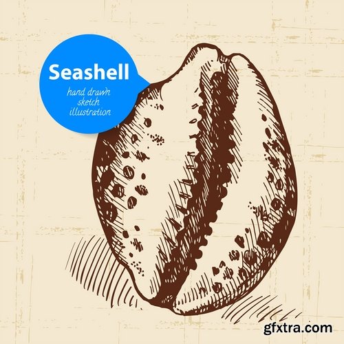 Collection of different vector picture painted seashell sink 25 Eps