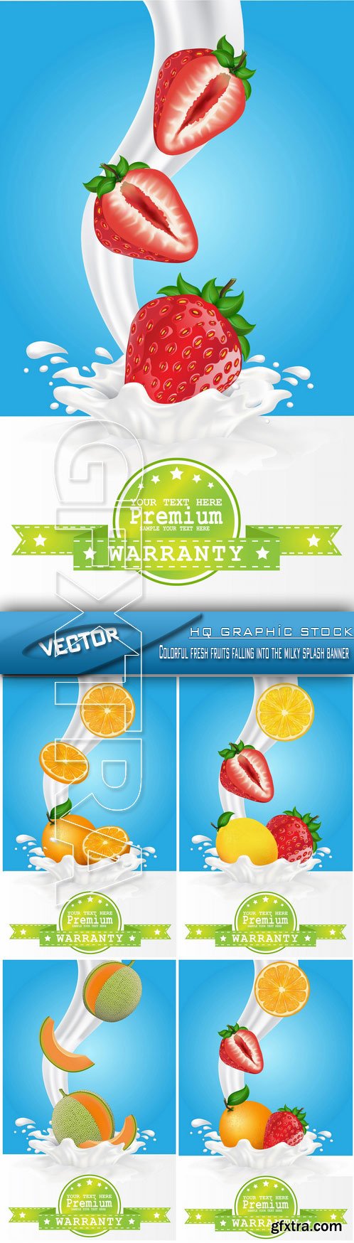 Stock Vector - Colorful fresh fruits falling into the milky splash banner