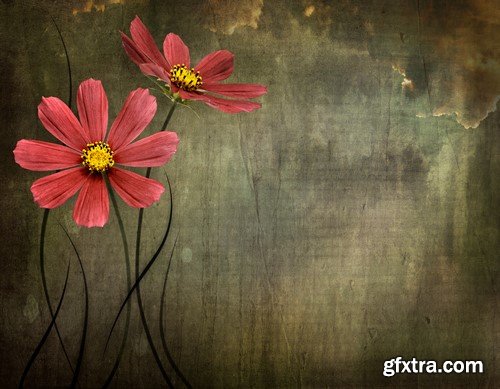 Flowers on wooden background 14x JPEG