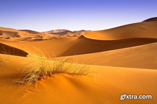 Collection of red desert sand dune 25 HQ Jpeg