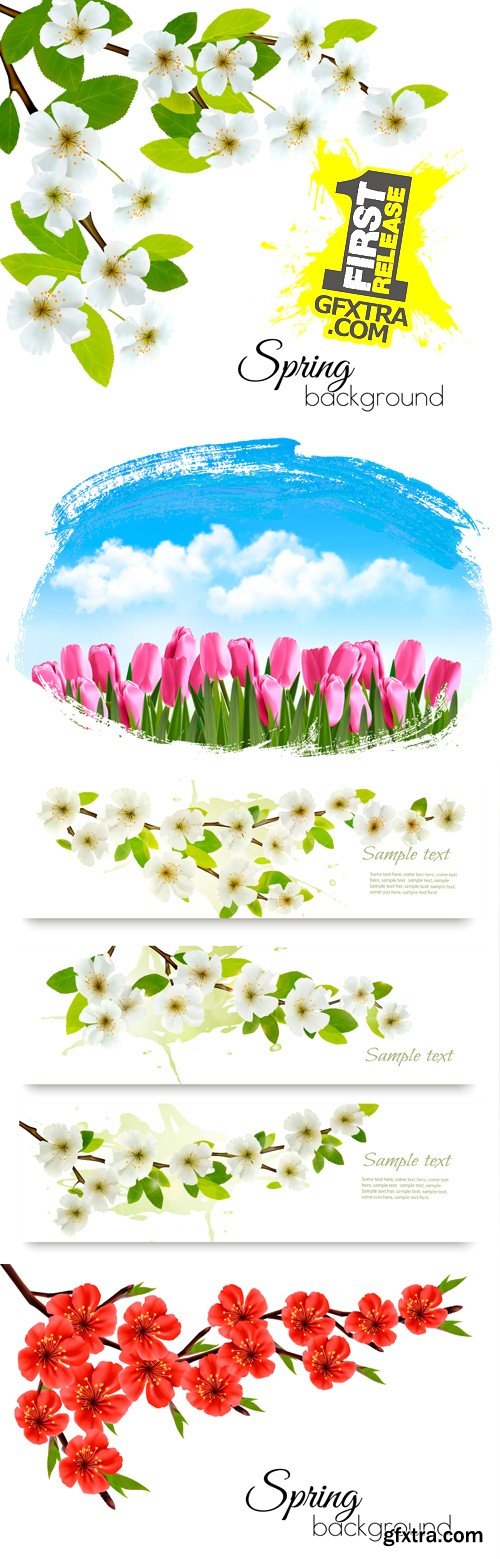 Spring Flowers Cards Vector