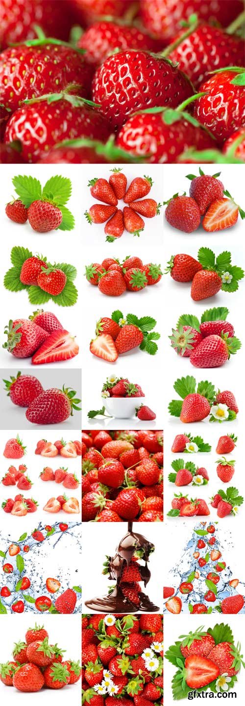 Ripe juicy strawberries