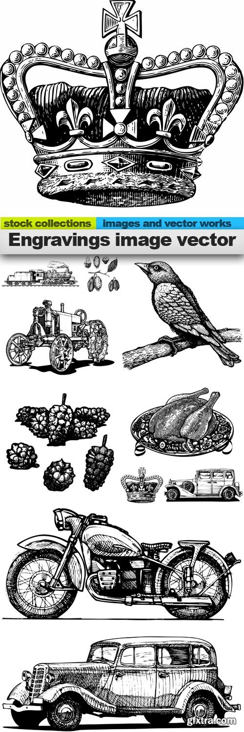 Engravings image vector, 10 x EPS