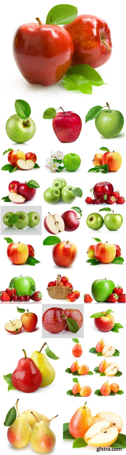 Apple and pear raster graphics