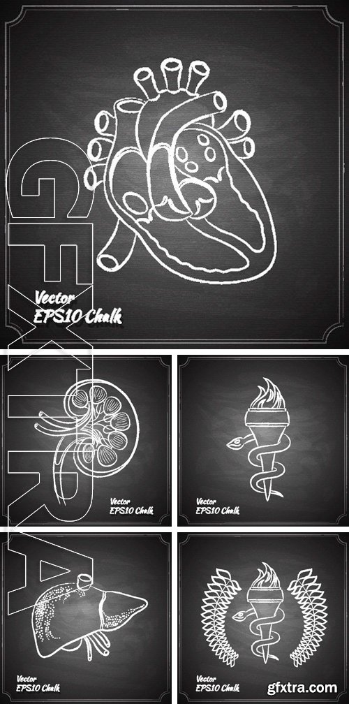 Stock Vectors - Medicine painted on the chalkboard outline vector illustration