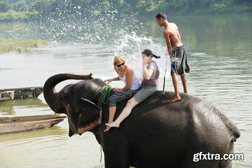 Collection mahout elephant bathing in the jungle 25 HQ Jpeg