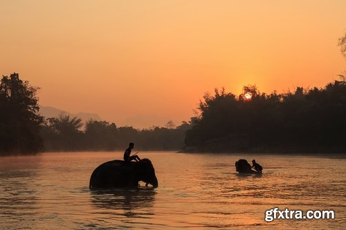 Collection mahout elephant bathing in the jungle 25 HQ Jpeg