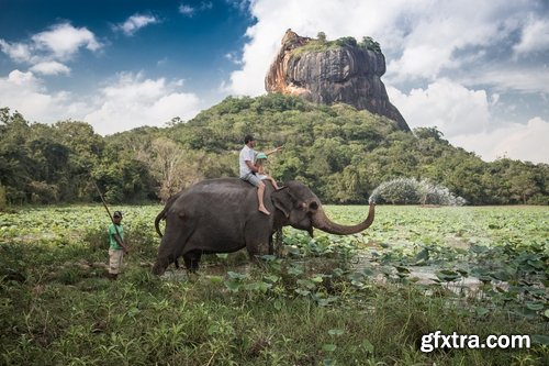 Collection mahout elephant bathing in the jungle 25 HQ Jpeg