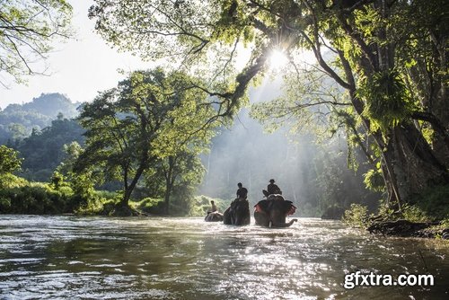 Collection mahout elephant bathing in the jungle 25 HQ Jpeg