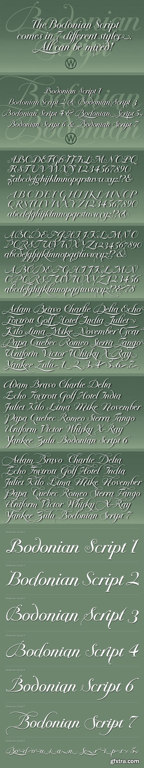 Bodonian Script - Fancy 7 Script Fonts $99