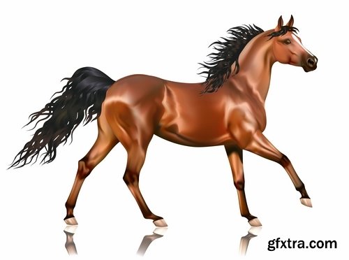 Collection of vector image running horse stallion 25 Eps