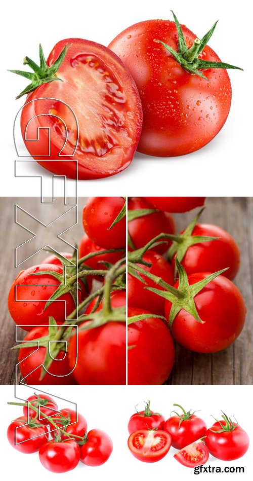 Stock Photos - Tomatoes 2