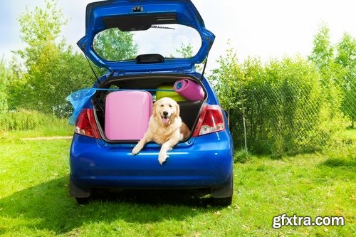 Collection of car trip luggage suitcase motorhome camping 25 HQ Jpeg