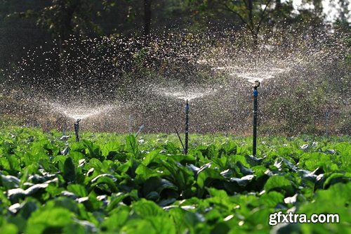 Collection farming field plantation irrigation system 25 HQ Jpeg