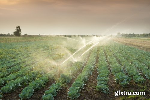 Collection farming field plantation irrigation system 25 HQ Jpeg