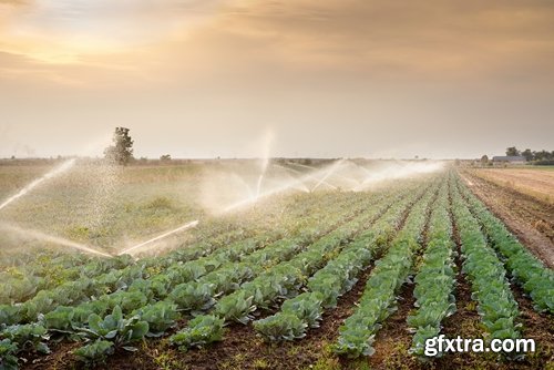 Collection farming field plantation irrigation system 25 HQ Jpeg