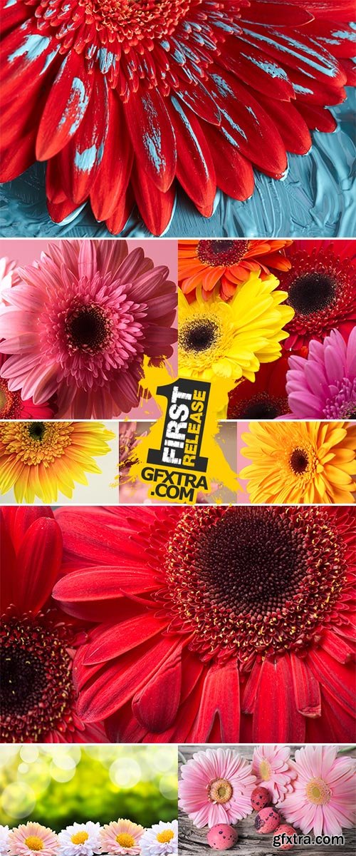 Stock Photo: Colorful gerbera flowers on the wooden table