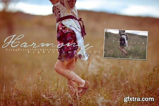 M4H Harmony Lightroom Presets Collection