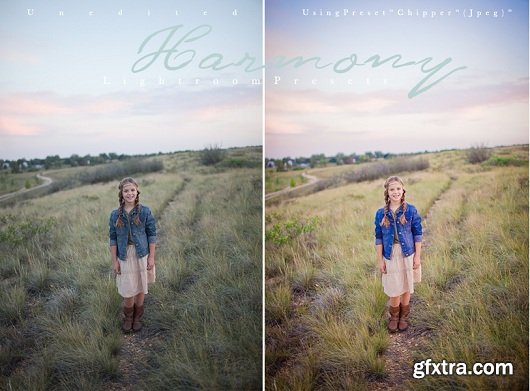 M4H Harmony Lightroom Presets Collection