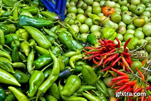 Vegetables rich harvest 9x JPEG