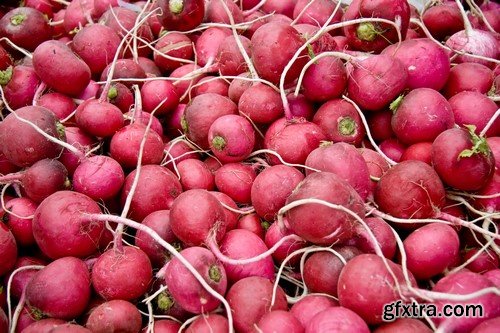 Vegetables rich harvest 9x JPEG