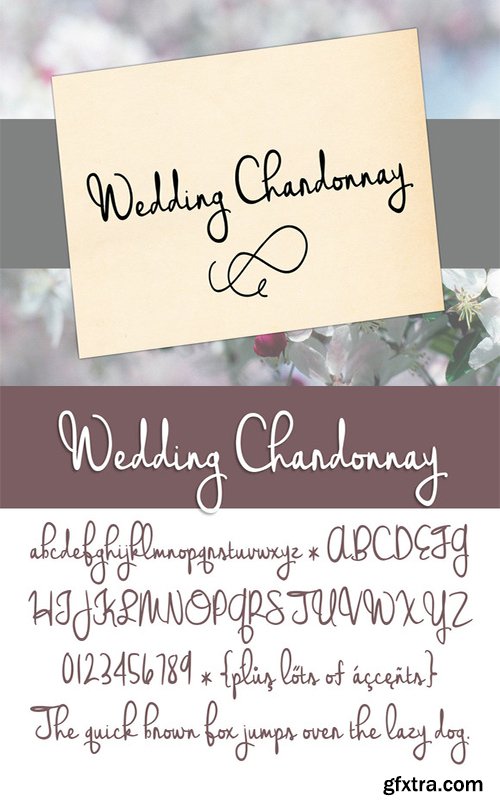 Wedding Chardonnay Font