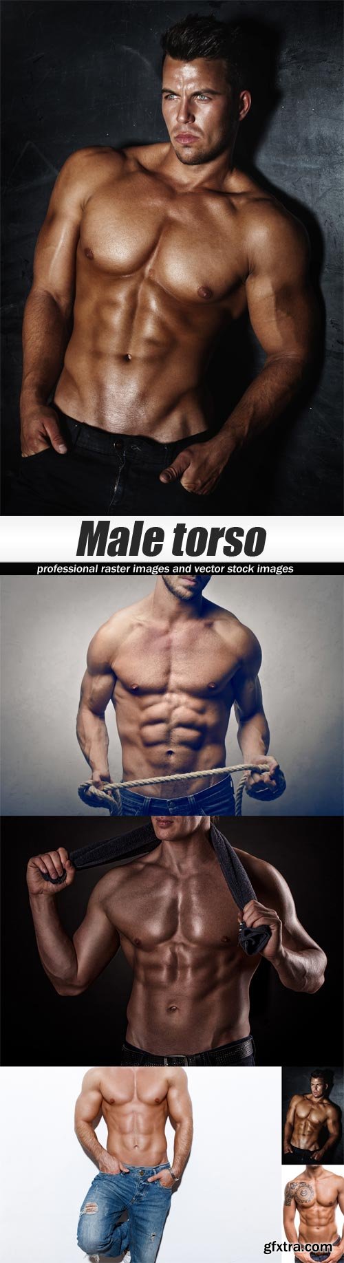 Male torso