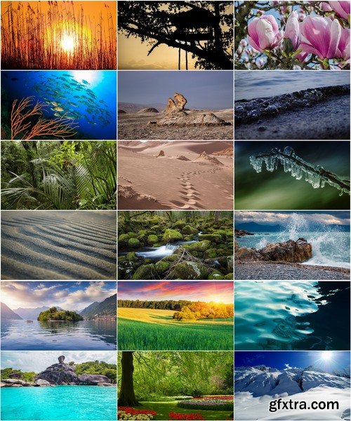 Collection of various nature landscape sea sand flower grass field sunset 25 HQ Jpeg