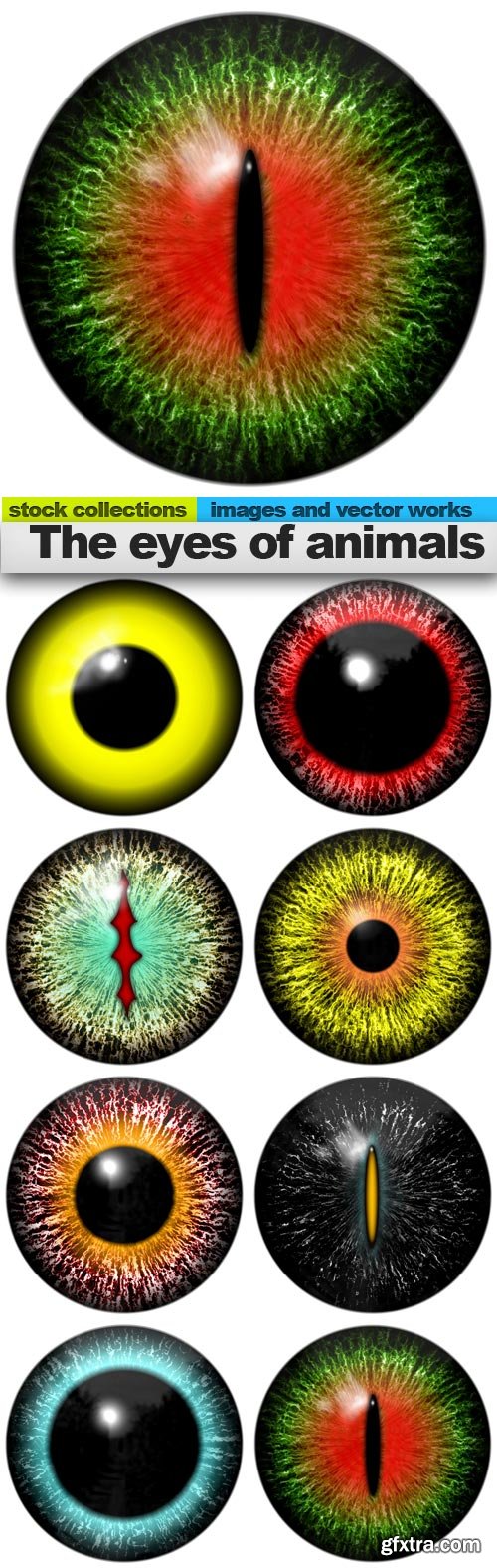 The eyes of animals, 08 x UHQ JPEG