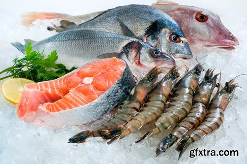 Fresh-frozen seafood 15x JPEG