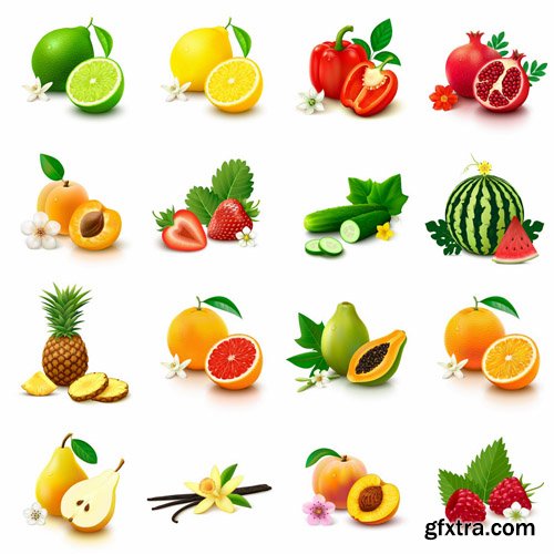 Fruits And Vegetables #4 - 25 Vector