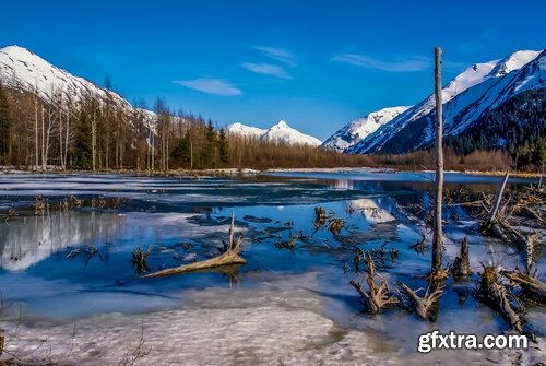 Collection of the most beautiful landscapes of Alaska Bear Deer Mountain Sea radiance 25 HQ Jpeg