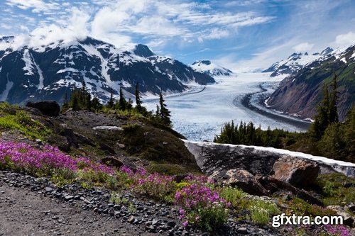 Collection of the most beautiful landscapes of Alaska Bear Deer Mountain Sea radiance 25 HQ Jpeg