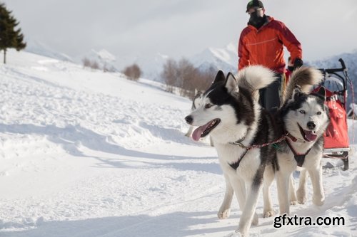 Collection of the most beautiful landscapes of Alaska Bear Deer Mountain Sea radiance 25 HQ Jpeg