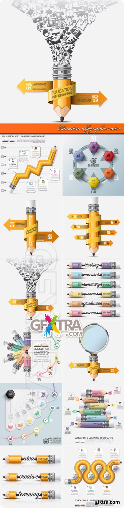 Education infographic vector