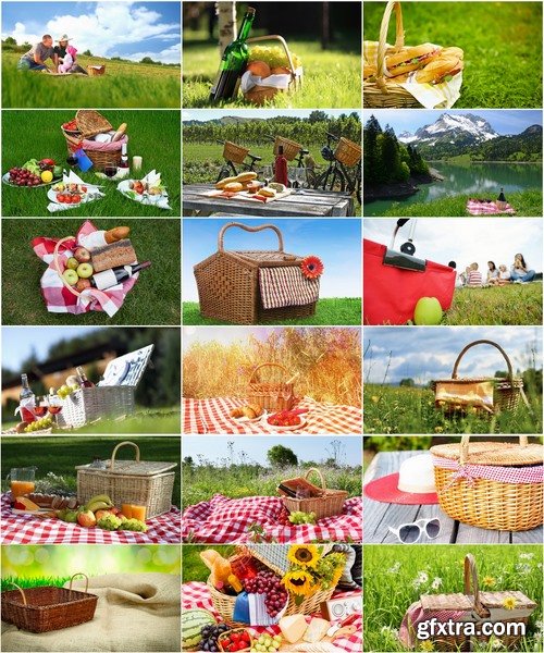 Collection picnic basket picnic wine grapes plaid bedding Still Life 25 HQ Jpeg