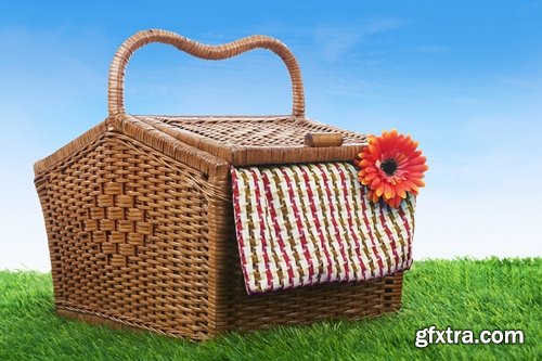 Collection picnic basket picnic wine grapes plaid bedding Still Life 25 HQ Jpeg