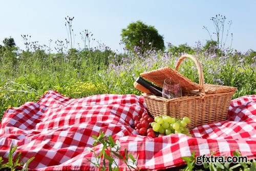 Collection picnic basket picnic wine grapes plaid bedding Still Life 25 HQ Jpeg