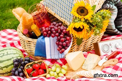 Collection picnic basket picnic wine grapes plaid bedding Still Life 25 HQ Jpeg