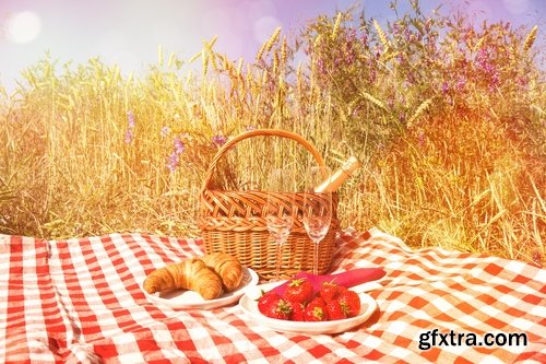 Collection picnic basket picnic wine grapes plaid bedding Still Life 25 HQ Jpeg