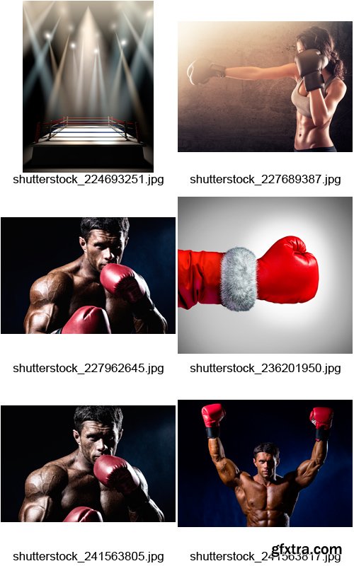 Amazing SS - MMA & Boxing, 25xJPGs