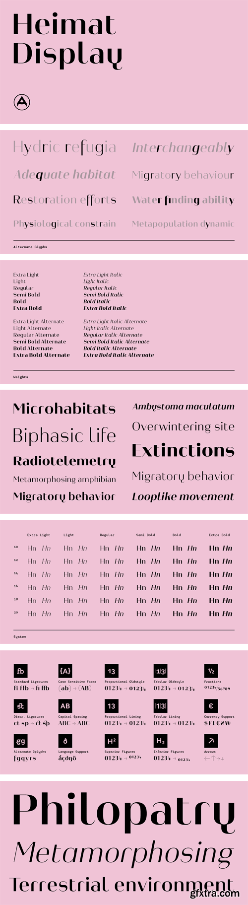 Heimat Display Font Family