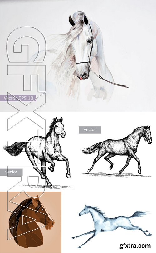 Stock Vectors - Horse