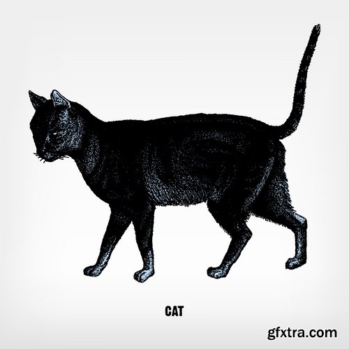 Collection of vector image black cat cats animal 25 Eps