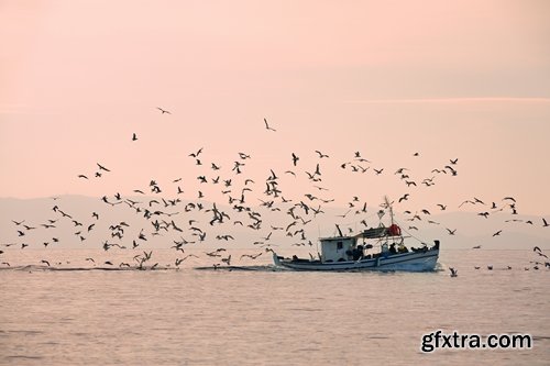 Collection of fishing on the ocean river lake fishing schooner trawler net spinning bait fishing line 25 HQ Jpeg