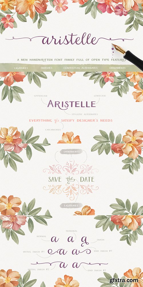 Aristelle Family Font Family - 3 Font $30