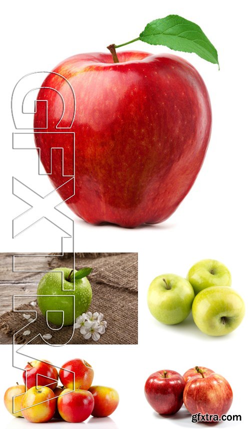 Stock Photos - Apples