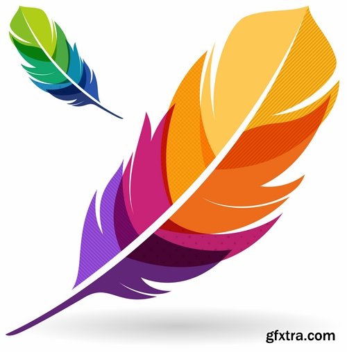 Collection of vector silhouettes picture feather feathers bird feather 25 Eps