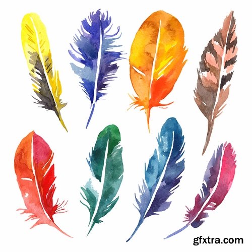 Collection of vector silhouettes picture feather feathers bird feather 25 Eps